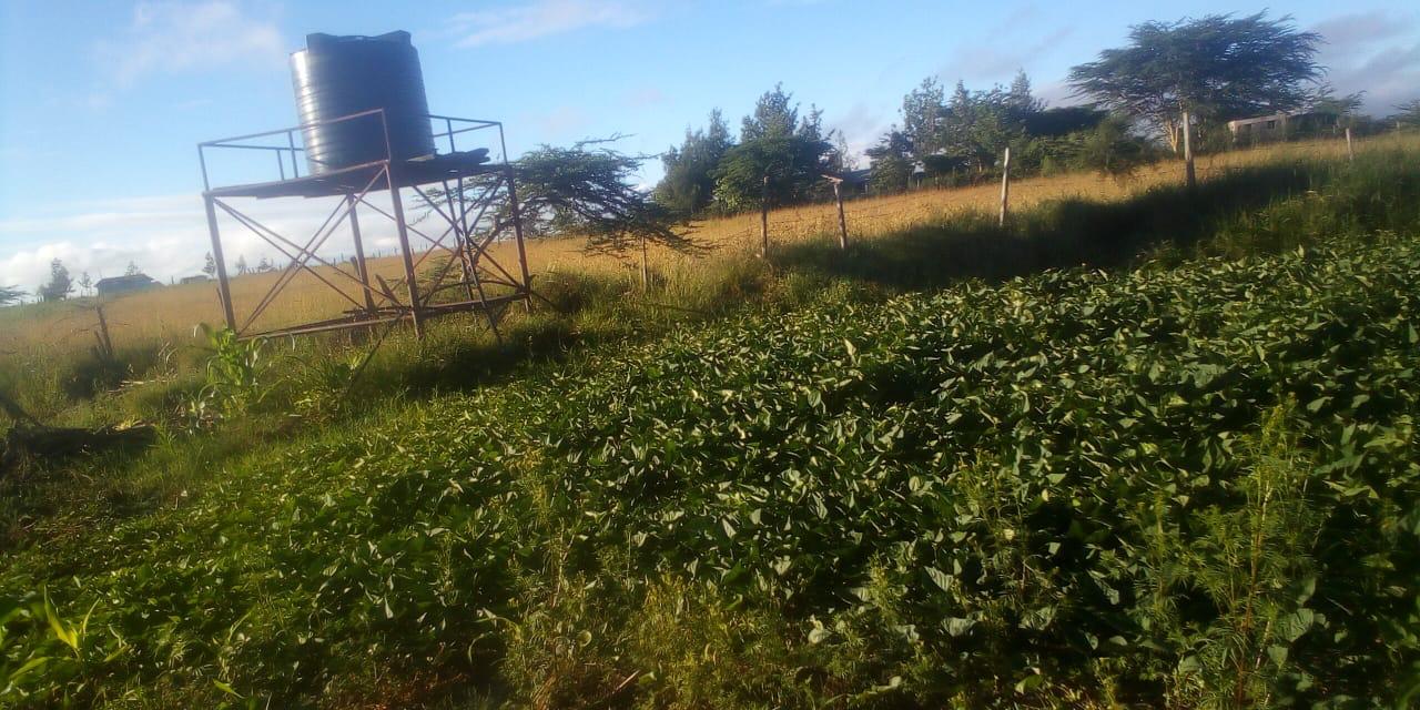 WhatsApp Image 2024-05-23 at 22.10.25